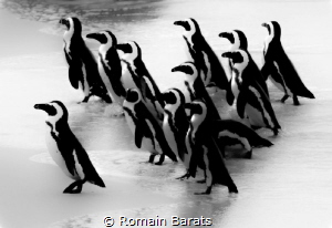 black and white stripes army by Romain Barats 